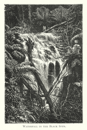 Australia: Waterfall in the Black Spur (engraving)