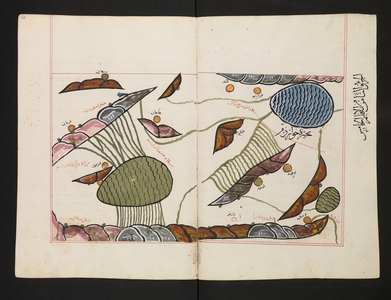 The 'book of pleasant journeys into faraway lands', 1553 (drawing)