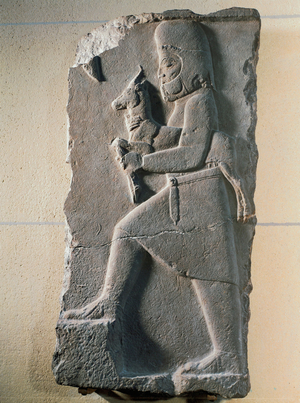 Man carrying a young goat …