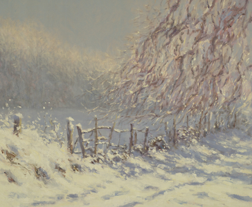 Sunlight & Shadow (oil on canvas)