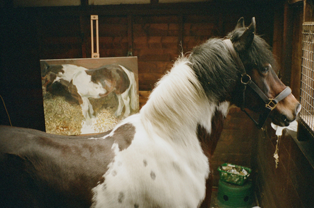 Horse with Lucian Freud's 'Mare Eating Hay', 2006 (photo)