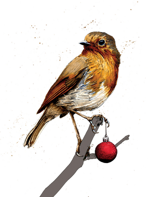 Christmas Robin on White, 2020, (pen and ink)