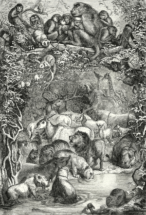 Mammalia (engraving)