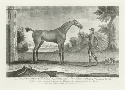 Skim, foaled 1746 (b/w photo)