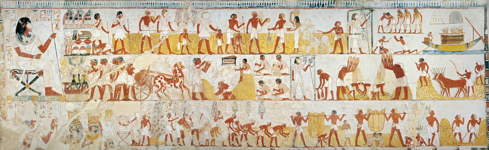 Harvesting crop, threshing and winnowing of grain, detail (mural painting)