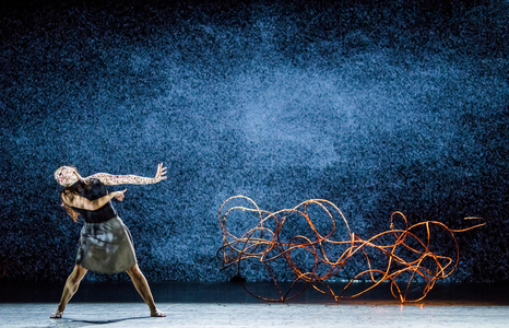 Bayadere-The Ninth Life by Shobana Jeyasingh (photo)