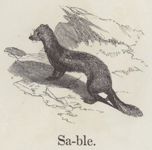 Sable (engraving)