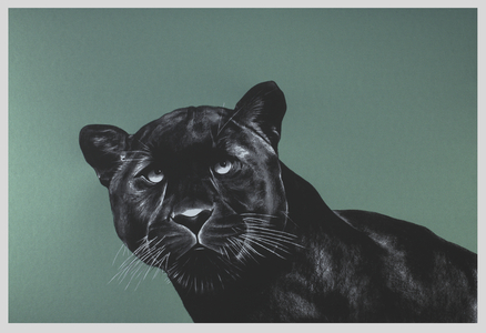 Emerald Panther, 2019 (4 layer silkscreen)