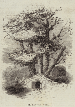 The Well of St Keyne (engraving)