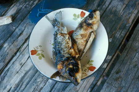 Grilled fish - Peru, objects; 1975, fish, grilled, grilled, grilled fish ..., 1975 (photo)