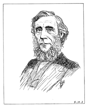 Portrait of John Tyndall, 1820-93 (litho)