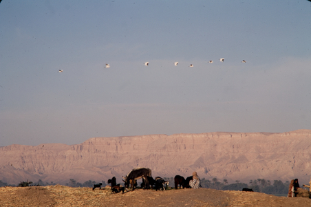 Ancient Egypt Series, 1968 ? (photo)