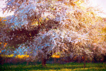 Evening Blossom, 2018 (digital painting)
