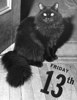 Black cat on Friday the 13th (b/w photo)