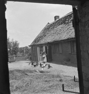 Farm in Berlin-Mahlsdorf, 1930s (photo)