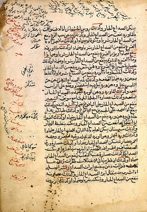Treatise on Materia Medica