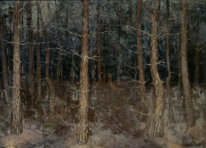 Mystical paths, Forest view, 1907 (oil on canvas)