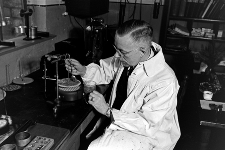 At the laboratories of the technical centre for tinned food at Magdeburg, Germany 1930s (b/w photo)