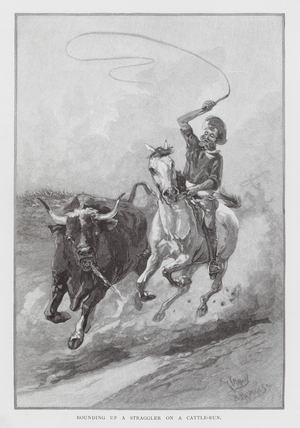 Rounding up a Straggler on a Cattle-Run (engraving)