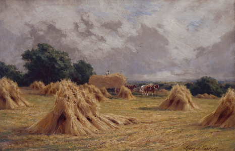 A Cornfield at Harlow, Essex (oil on canvas)