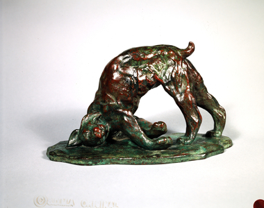 Skunked Lynx, 1909 (bronze)