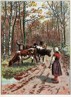 Troupeau de vaches. Herd of cows.