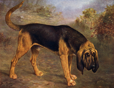 The Bloodhound Champion Hengist (colour litho)