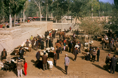 China: Livestock market and bazaar in Shufu County near Kashgar, Xinjiang Province