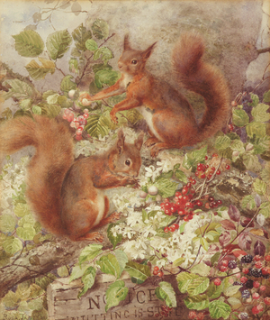 Red Squirrels Gathering Fruits and Nuts (w/c on paper)