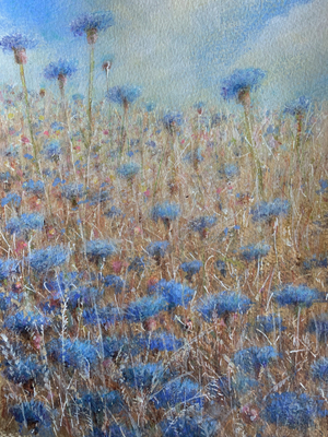 Cornflowers 3 (acrylic on canvas)