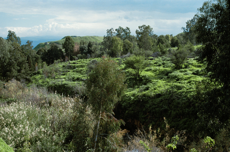 The Tel with the ruins of Beit Shan