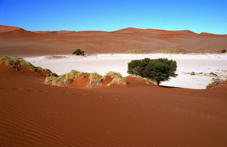Dry lake in Sossusvlei, 1996 (photo)