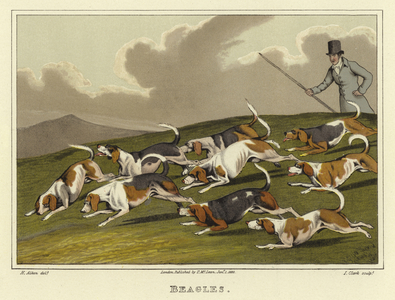 Beagles (chromolitho)