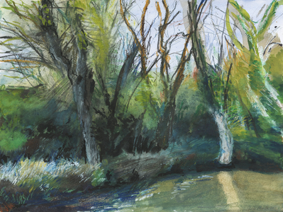 Latchmere Brook, Ham Common (watercolour, oil pastel, ink, acrylic and graphite on paper)