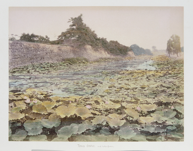 Moat with Lotus, Edo Castle, Tokyo, 1880-1900 (hand coloured photo)