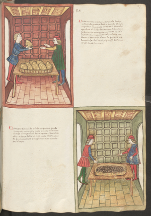 Full page: text and miniatures: " Cedro " (miniature)