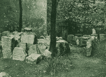 Ancient remains of Jewish cemetery at Mayence