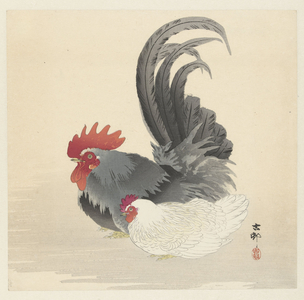 Chicken and Rooster, 1900-36 (woodcut)