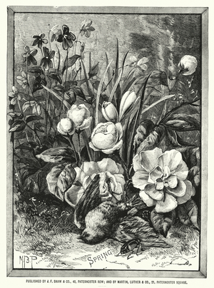 Spring (engraving)