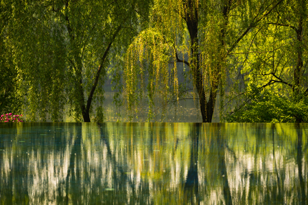 Hanging out in Hangzhou: morning reflections on West Lake. China, 2015 (photo)