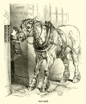 Old Jack (engraving)