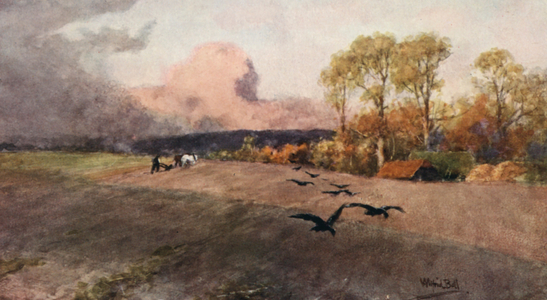 Ploughing (colour litho)
