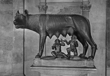 Roma, Museo dei Conservatori, Lupa Capitolina (postcard)