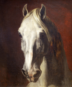 Head of a White Horse (oil on canvas)