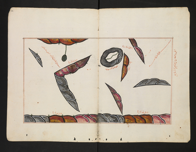 The 'book of pleasant journeys into faraway lands', 1553 (drawing)