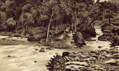 North Devon: "The Watersmeet", Lynmouth (litho)