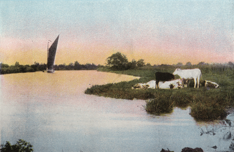On the Bure (photo)