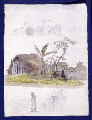 Indigenous house in La Reunion, 1816 (watercolour)
