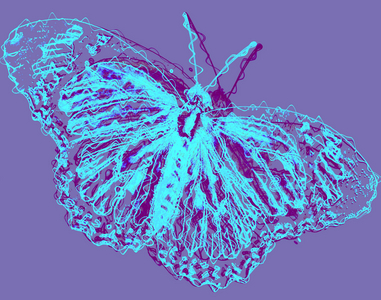 butterfly,2020,(mixed media)