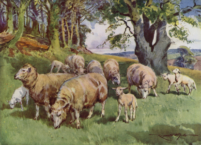 Illustration for My Farm (colour litho)